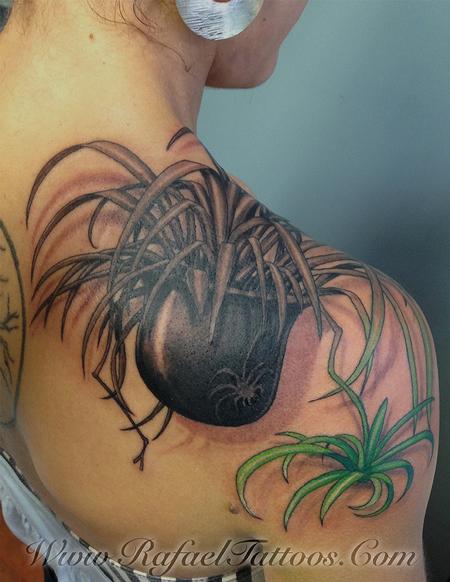 Tattoos - Spider Plant on shoulder  - 109674